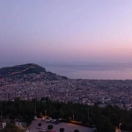 Begon Βίλα Αλάνια