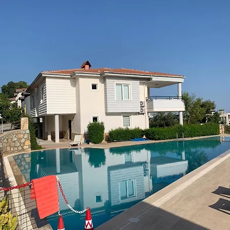 Begon * Αλάνια