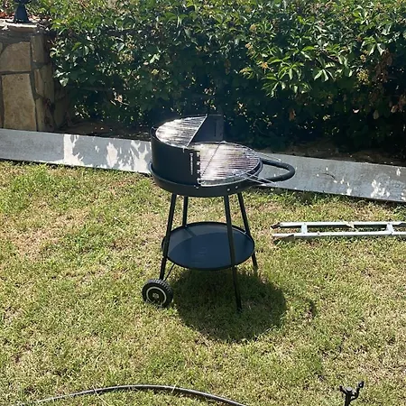 Begon * ألانيا